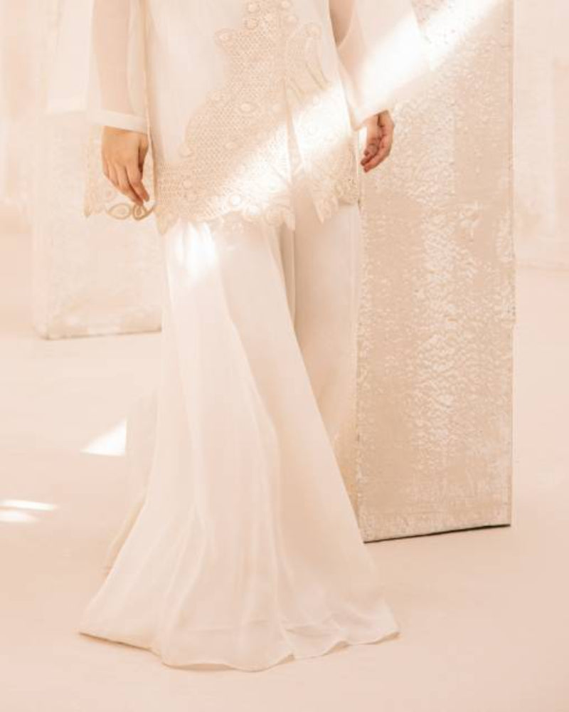Chiffon Palazzo Pants